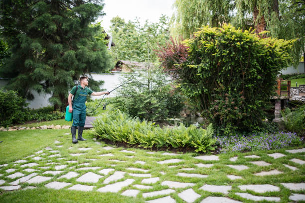 Best Tree Mulching  in Hinckley, IL