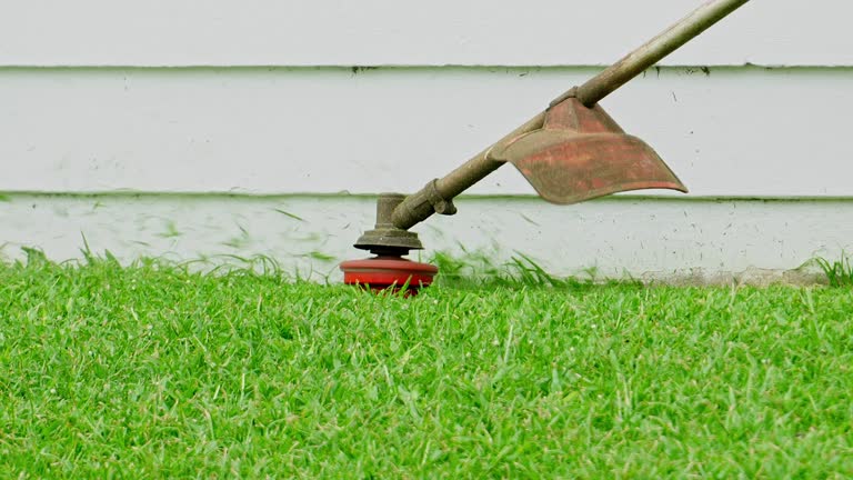 Best Hazardous Tree Removal  in Hinckley, IL